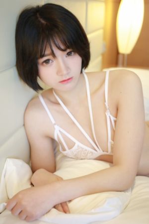 1—40集电视剧在线观看