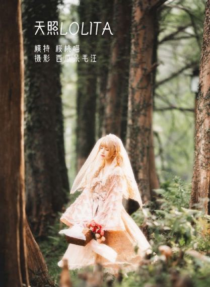 情债电视连续剧二十集免费观看