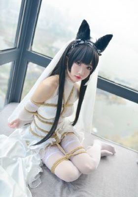 不二神探免费观看国语版